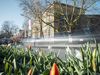 Das Museumsquartier in Osnabrück, umgeben von blühenden Frühlingsblumen, lädt zur kulturellen Erkundung ein.