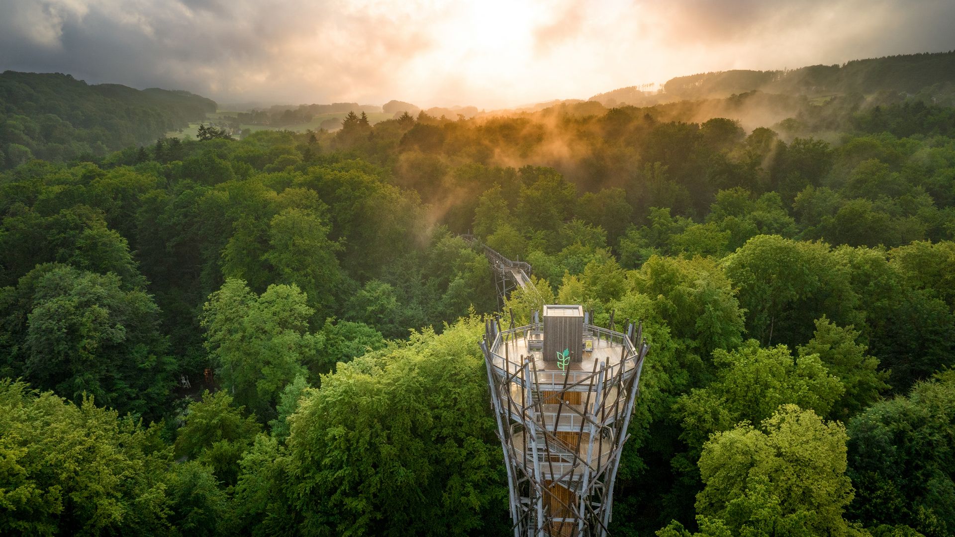 Der Baumwipfelpfad in Bad Iburg bietet spektakuläre Aussichten über die grünen Wälder des Osnabrücker Landes.